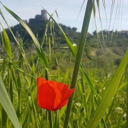 Apartmán La Casina Di Nonna Giulia Castiglione dʼOrcia Exteriér fotografie