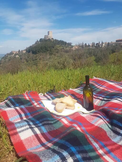 Apartmán La Casina Di Nonna Giulia Castiglione dʼOrcia Exteriér fotografie
