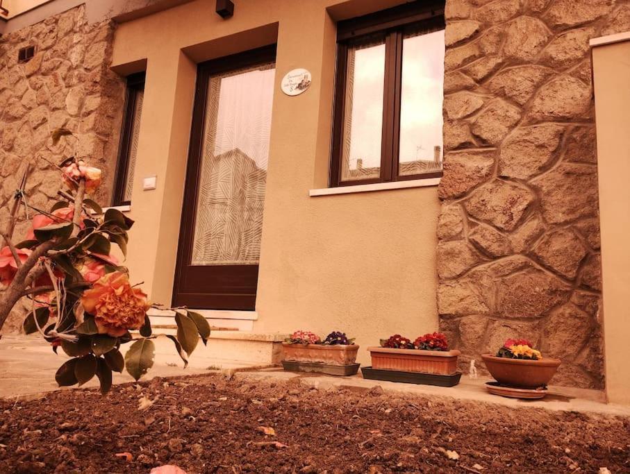 Apartmán La Casina Di Nonna Giulia Castiglione dʼOrcia Exteriér fotografie