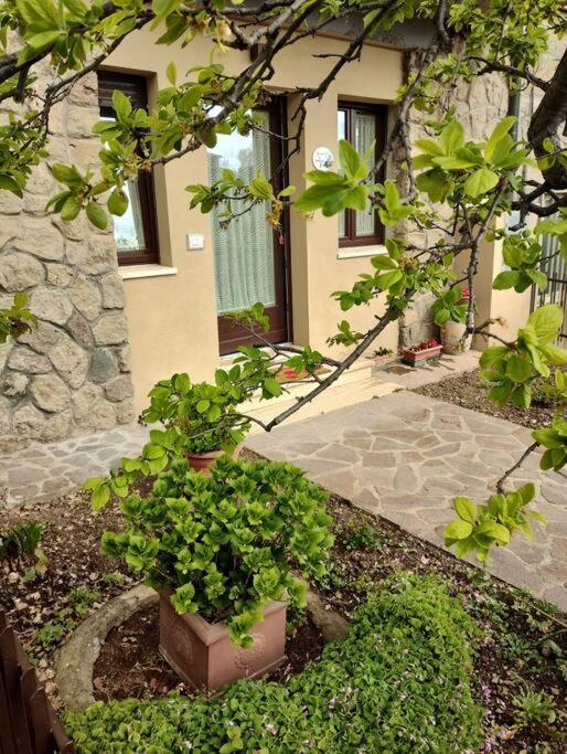 Apartmán La Casina Di Nonna Giulia Castiglione dʼOrcia Exteriér fotografie