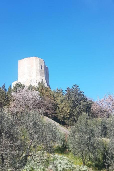 Apartmán La Casina Di Nonna Giulia Castiglione dʼOrcia Exteriér fotografie